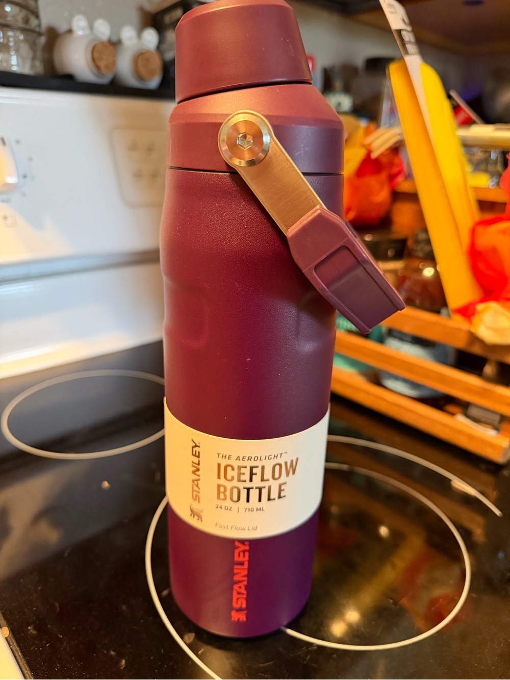 Stanley Travel Bottle in Plum with Gold Accent